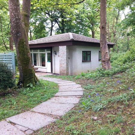 Вілла Woodland Retreat Uny Lelant Екстер'єр фото