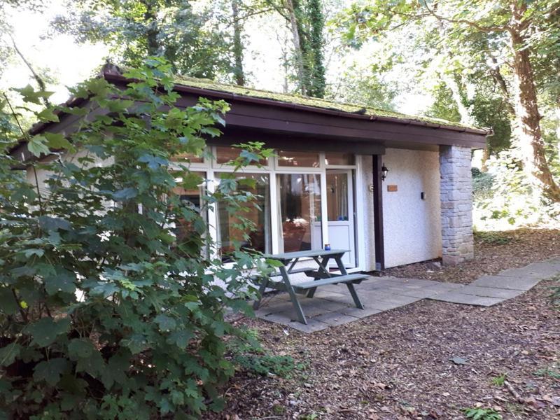 Вілла Woodland Retreat Uny Lelant Екстер'єр фото