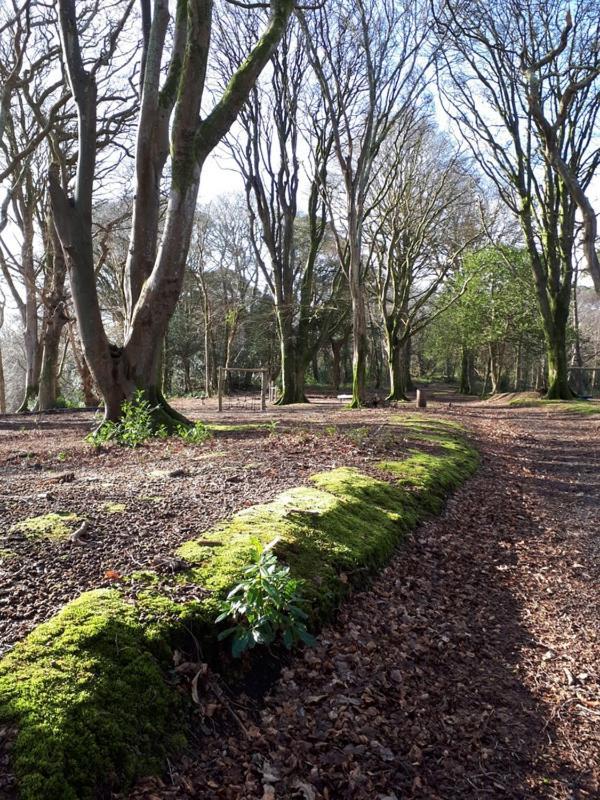 Вілла Woodland Retreat Uny Lelant Екстер'єр фото