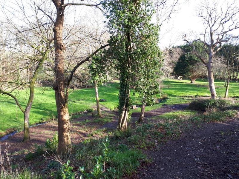 Вілла Woodland Retreat Uny Lelant Екстер'єр фото