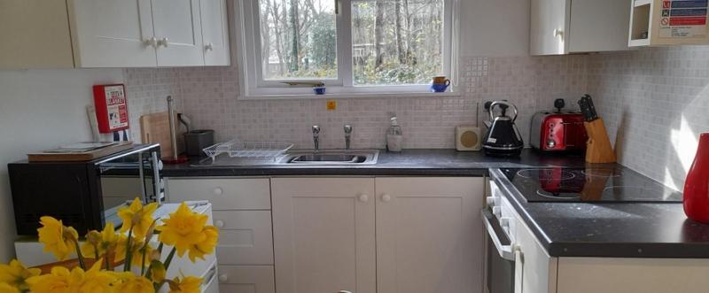 Вілла Woodland Retreat Uny Lelant Екстер'єр фото