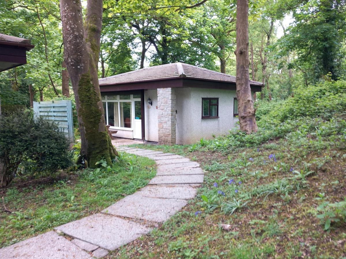 Вілла Woodland Retreat Uny Lelant Екстер'єр фото
